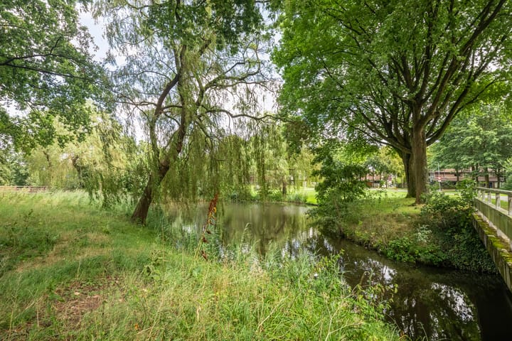 Foto 32 van Somerweide 42