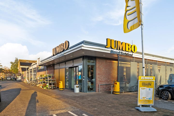 Foto 38 van Biesboschlaan 5