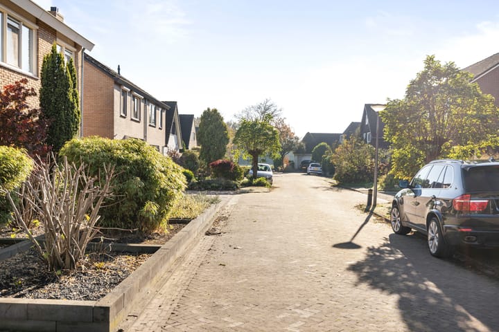 Foto 43 van de Spinde 124