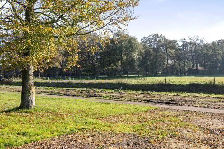 Foto 45 van de Spinde 124