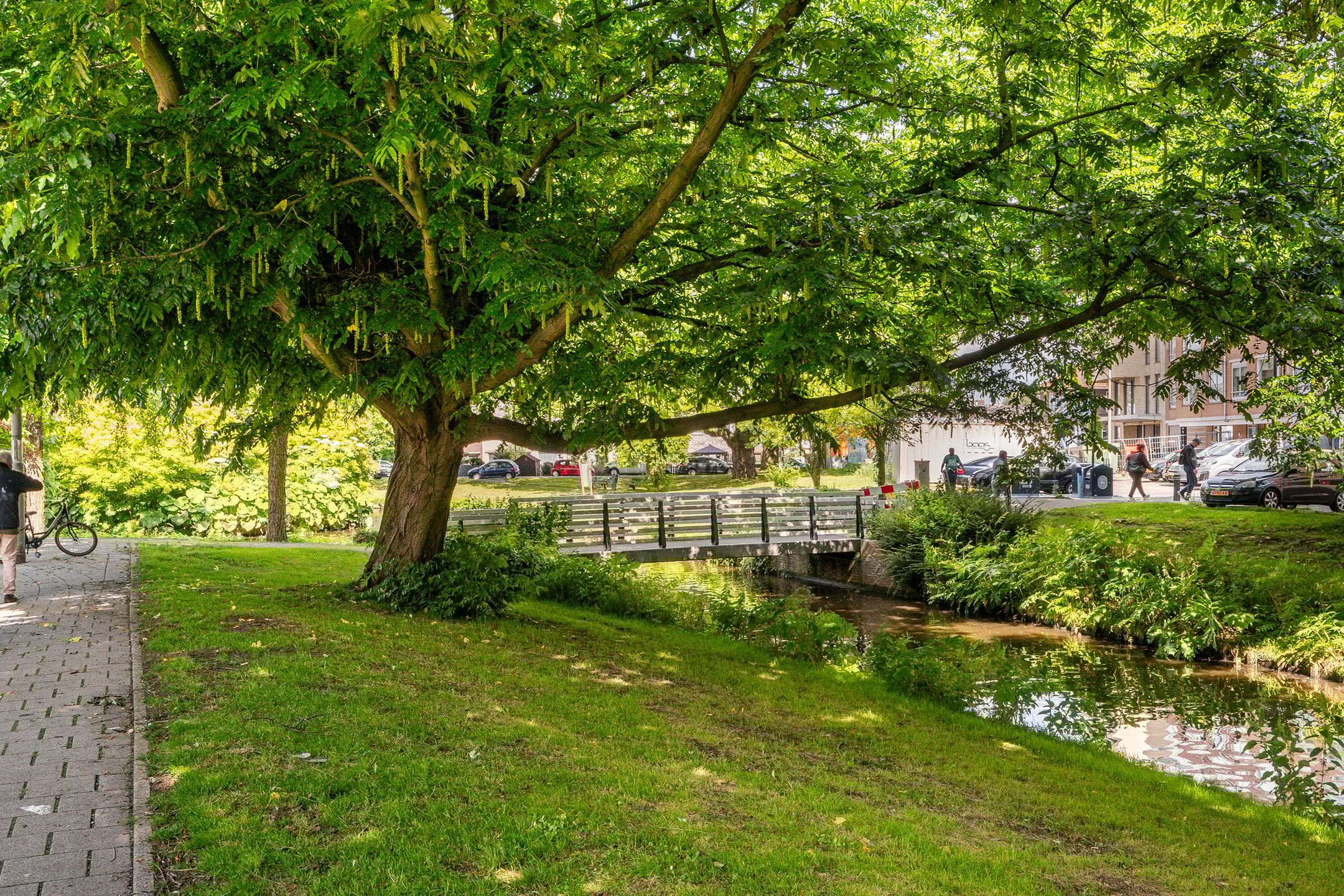 Foto 18 van Halleystraat 5-A