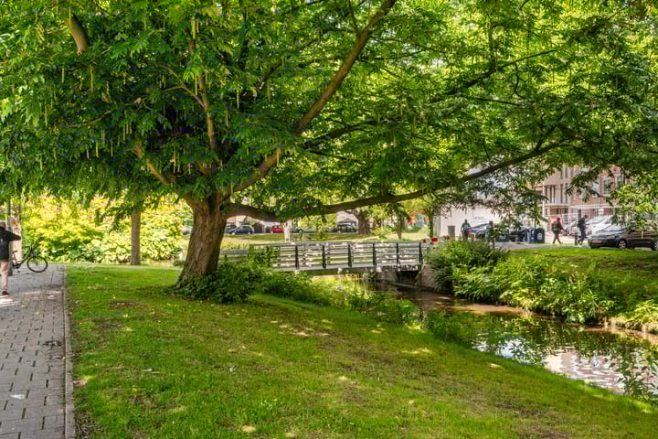 Photo 18 of Halleystraat 5-A