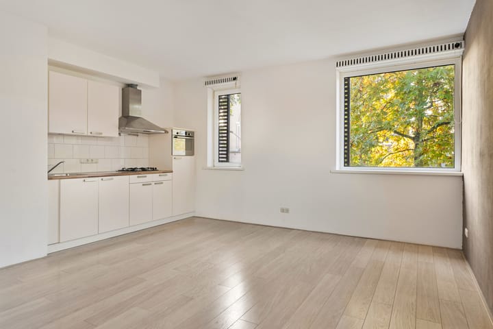 Foto 2 van Hintham 54-D