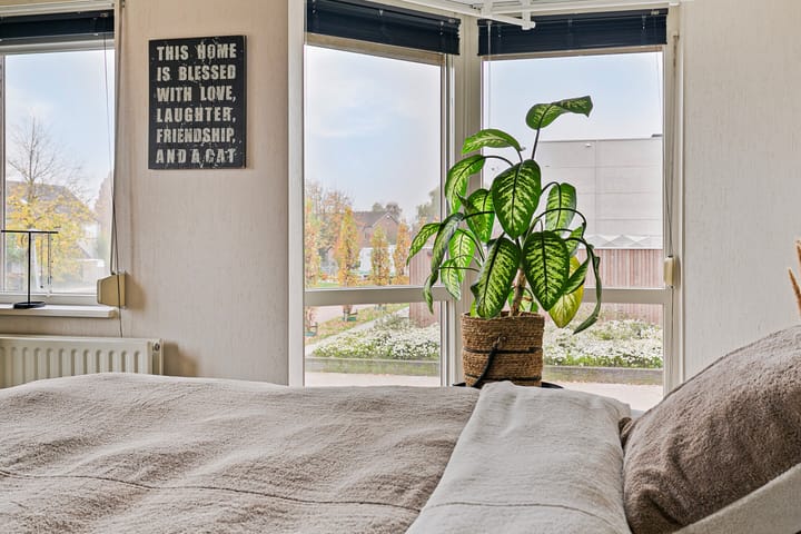 Foto 16 van Het Dorpsplein 26