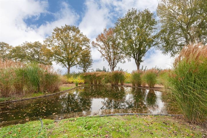 Bekijk foto 5 van Randmeerweg 8-730