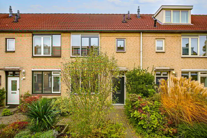 Foto 2 van Kievitsbloem 7