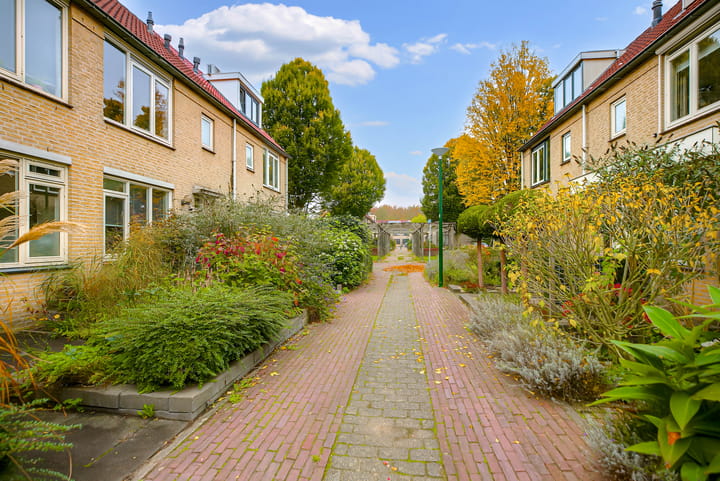 Foto 38 van Kievitsbloem 7