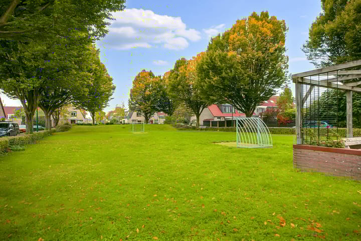 Foto 41 van Kievitsbloem 7