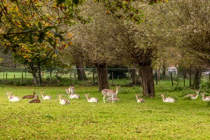 Foto 49 van Zandweg 39