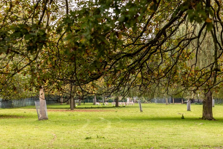 Foto 50 van Zandweg 39