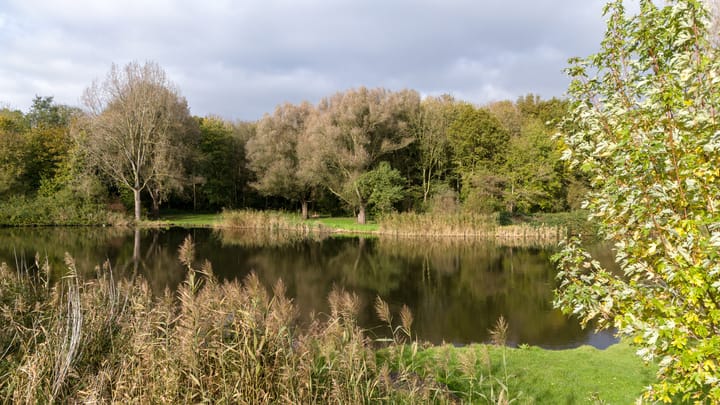 Foto 40 van Merellaan 467