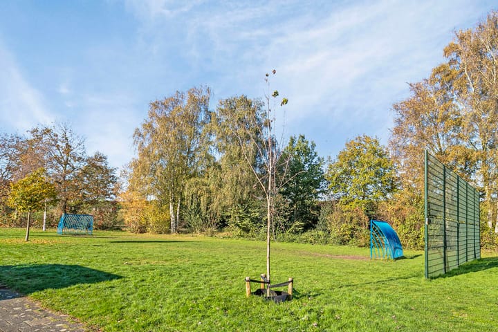 Foto 35 van Meidoornstraat 4