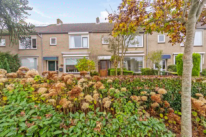 Foto 4 van van Oldenbarneveltstraat 38