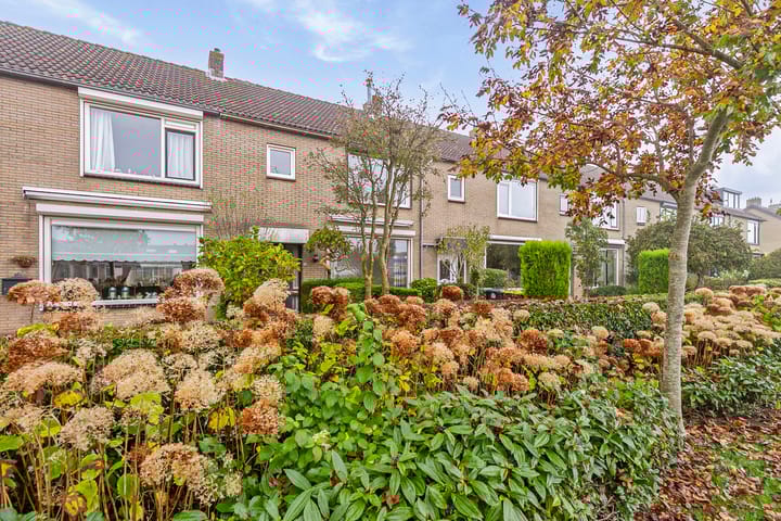 Foto 27 van van Oldenbarneveltstraat 38