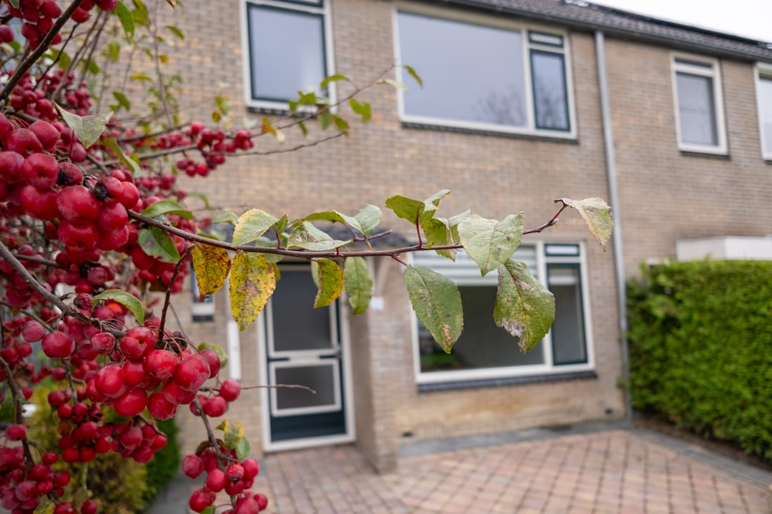 Foto 8 van Hofstedenlaan 29