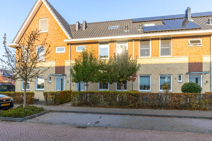 undefined main image