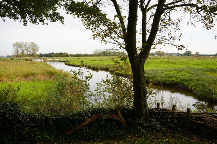 Bekijk foto 3 van Cathalijne Schans 51