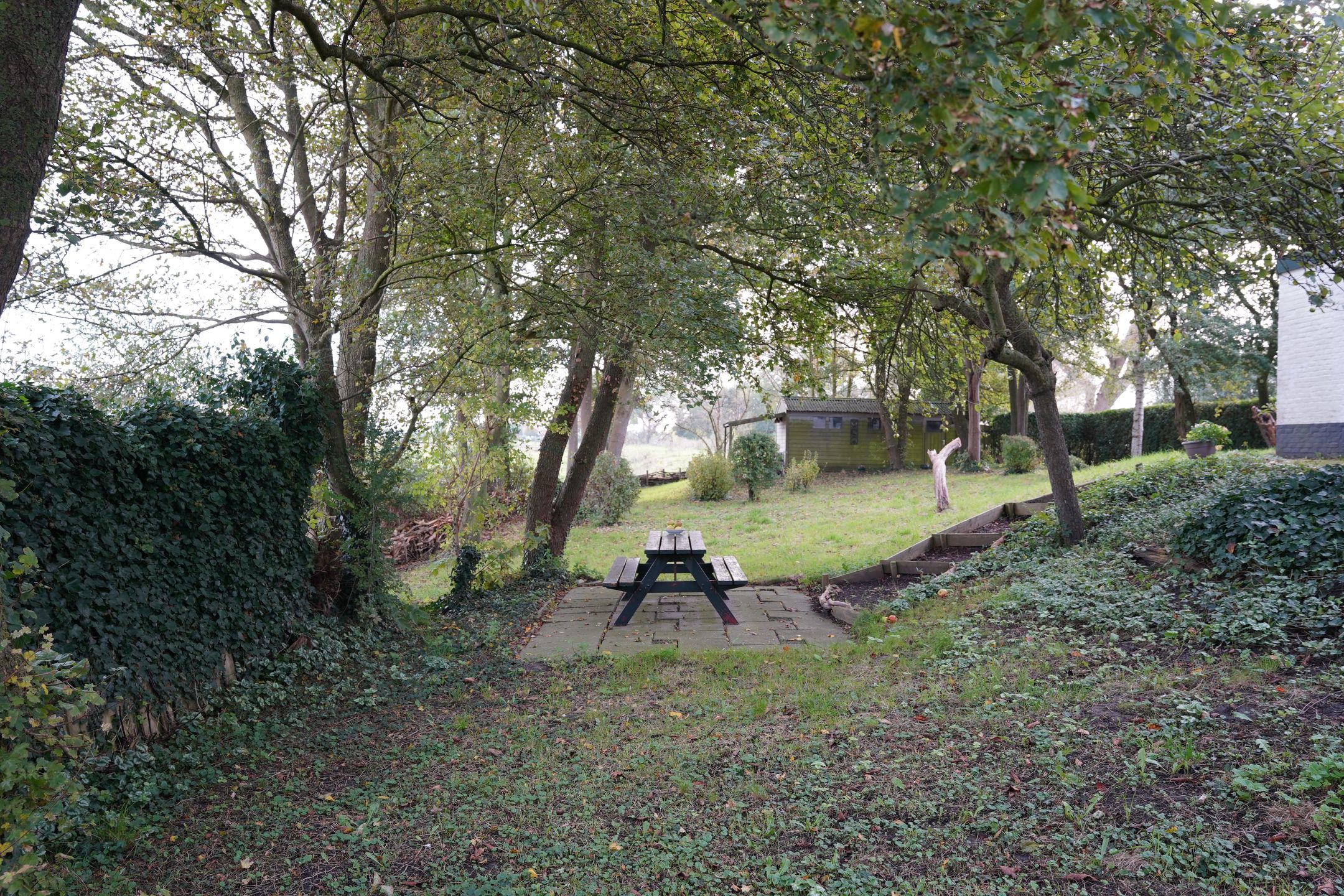 Foto 36 van Cathalijne Schans 51