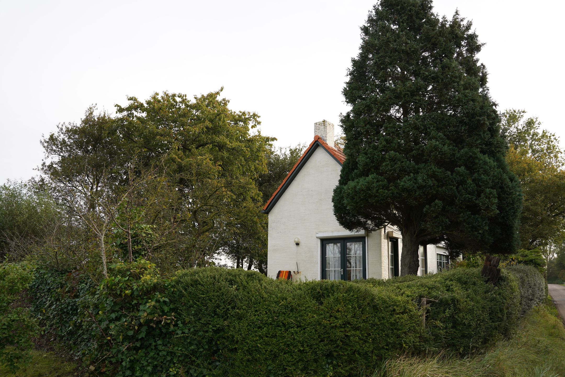 Foto 42 van Cathalijne Schans 51