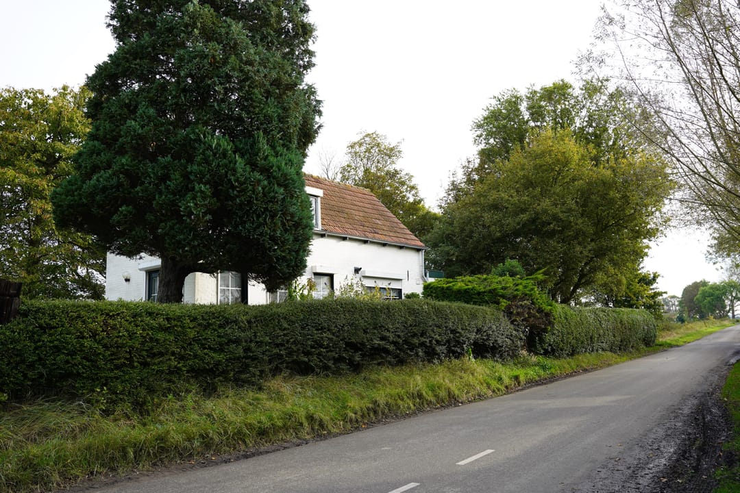 Foto 43 van Cathalijne Schans 51