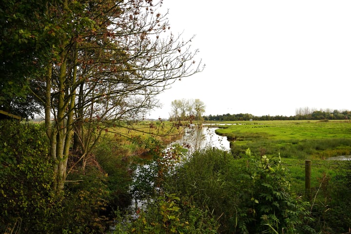 Bekijk foto 44 van Cathalijne Schans 51