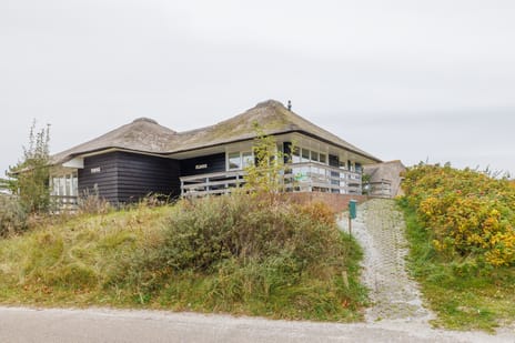 undefined main image