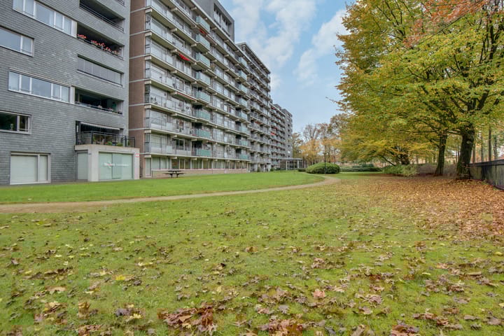 Foto 6 van Herodotusplein 172