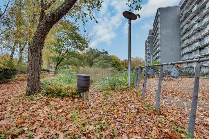 Foto 9 van Herodotusplein 172