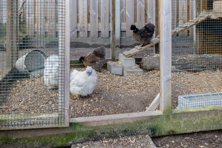 Foto 44 van Levanter 15