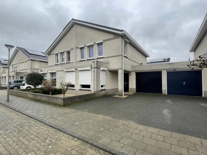 Foto 1 van Zwanebloem 11