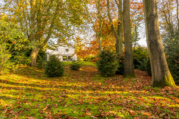 Foto 29 van Eikenboslaan 7