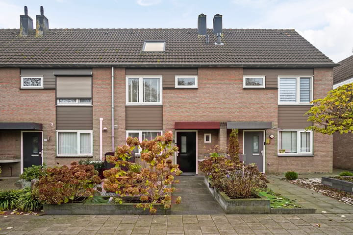 Foto 7 van Bogerd 23