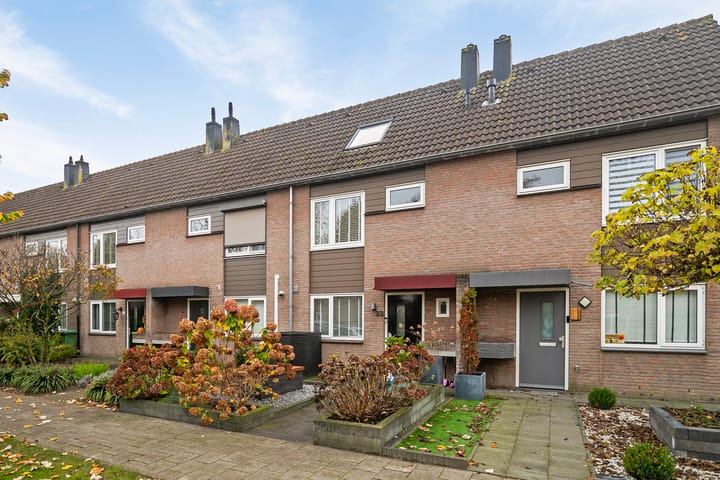 Foto 6 van Bogerd 23