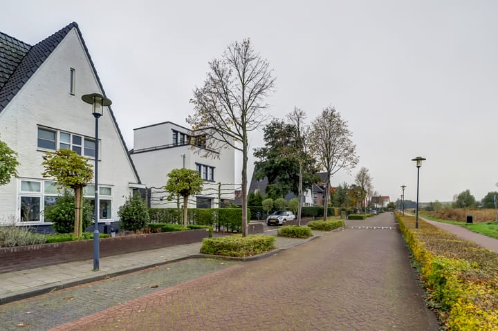 Foto 41 van Howlin' Wolfstraat 40