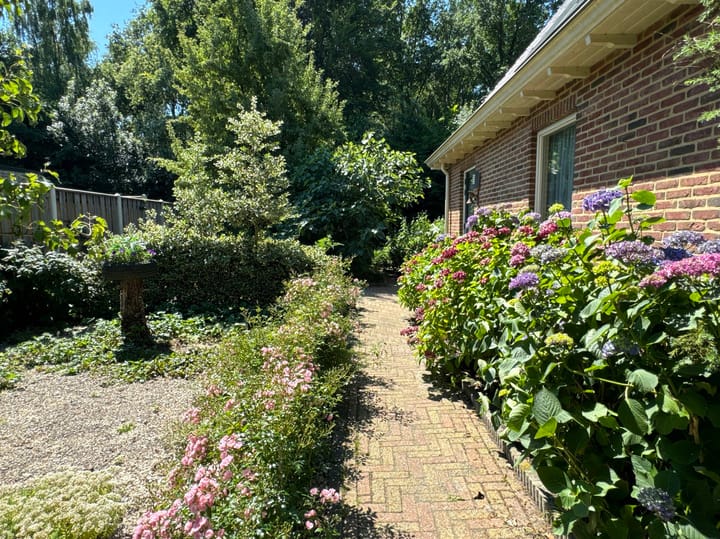 Foto 15 van Boslaan 2