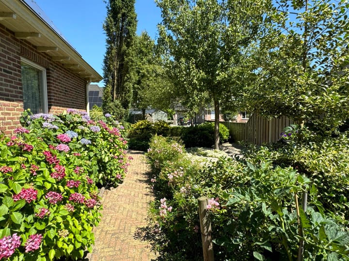 Foto 16 van Boslaan 2