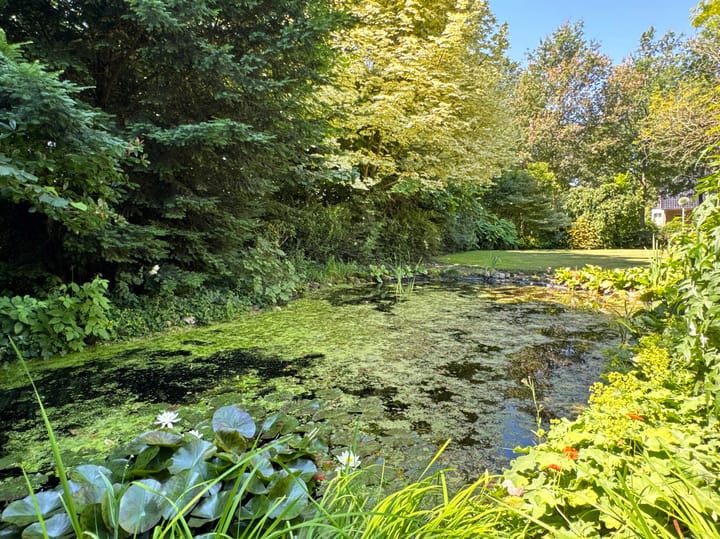 Foto 18 van Boslaan 2