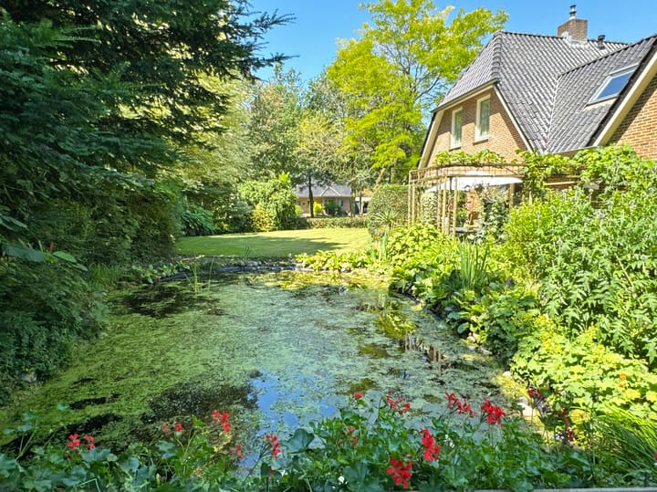 Foto 19 van Boslaan 2