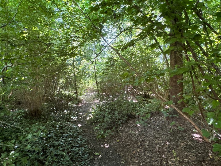 Foto 26 van Boslaan 2