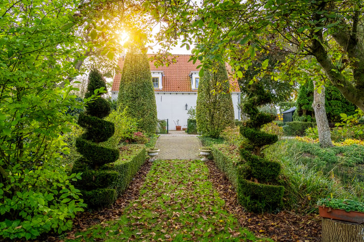 Bekijk foto 15 van Provincialeweg 1