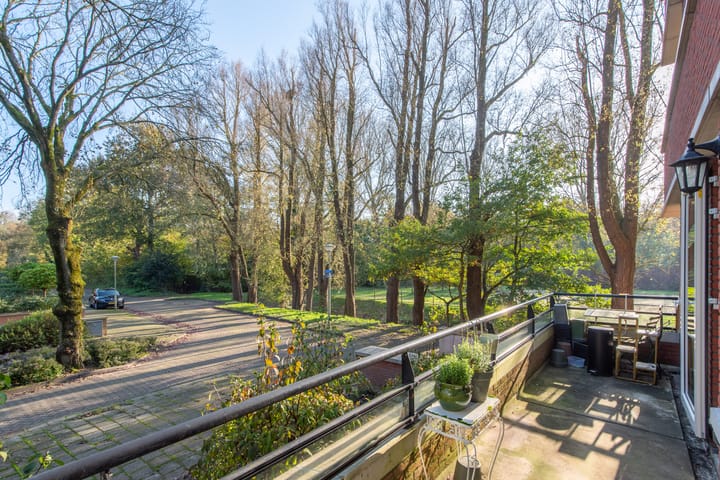 Foto 6 van Iepenlaan 74