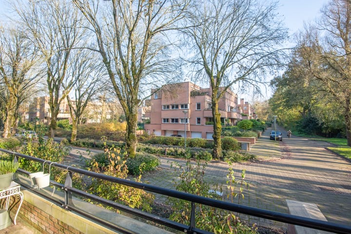 Foto 30 van Iepenlaan 74