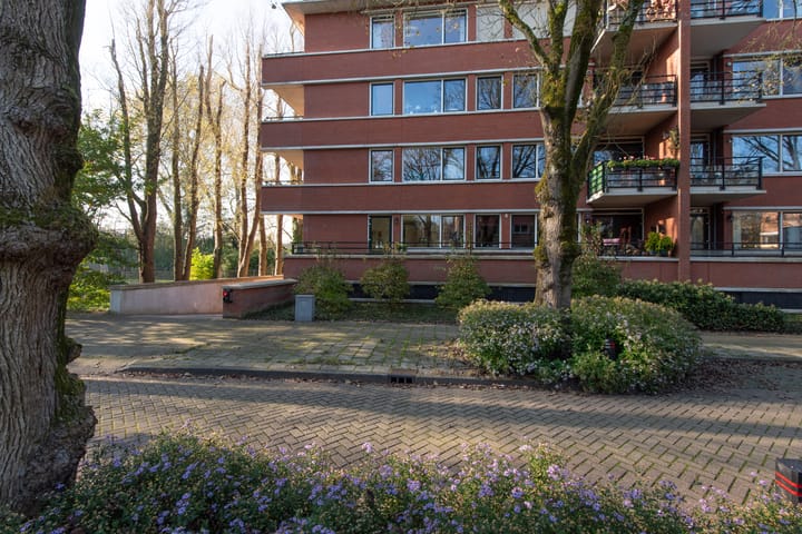 Foto 34 van Iepenlaan 74