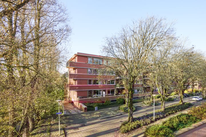 Foto 35 van Iepenlaan 74