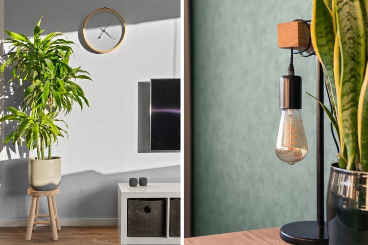 Foto 12 van Binnenhof 128