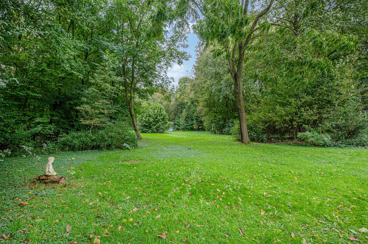 Foto 70 van Vledderweg 6