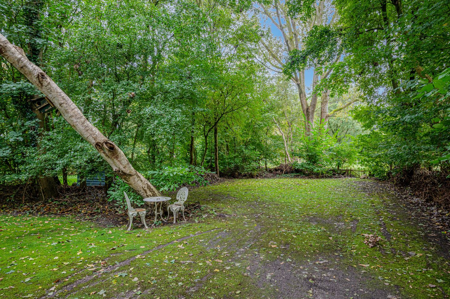 Foto 80 van Vledderweg 6