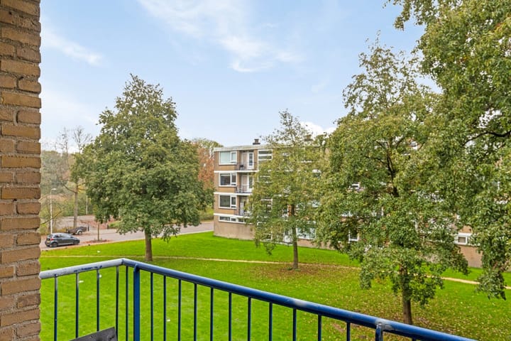 Foto 11 van Jan Steenlaan 16