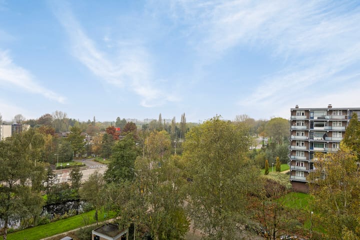 Foto 8 van Merellaan 108