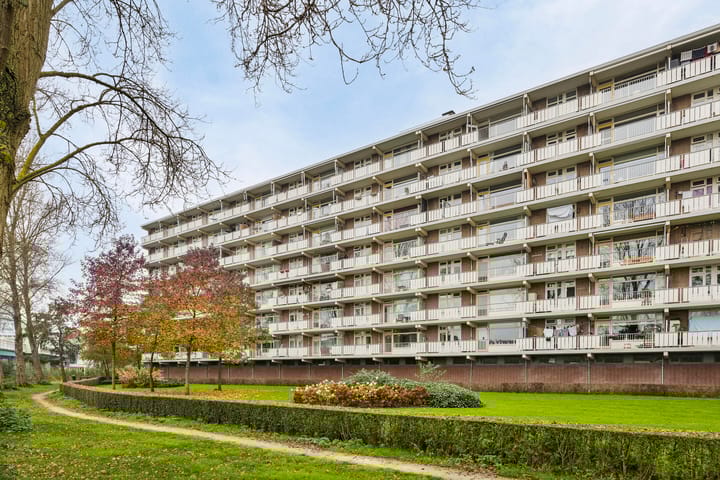 Foto 38 van Merellaan 108